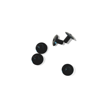 Voronoï temporal protection screw kit