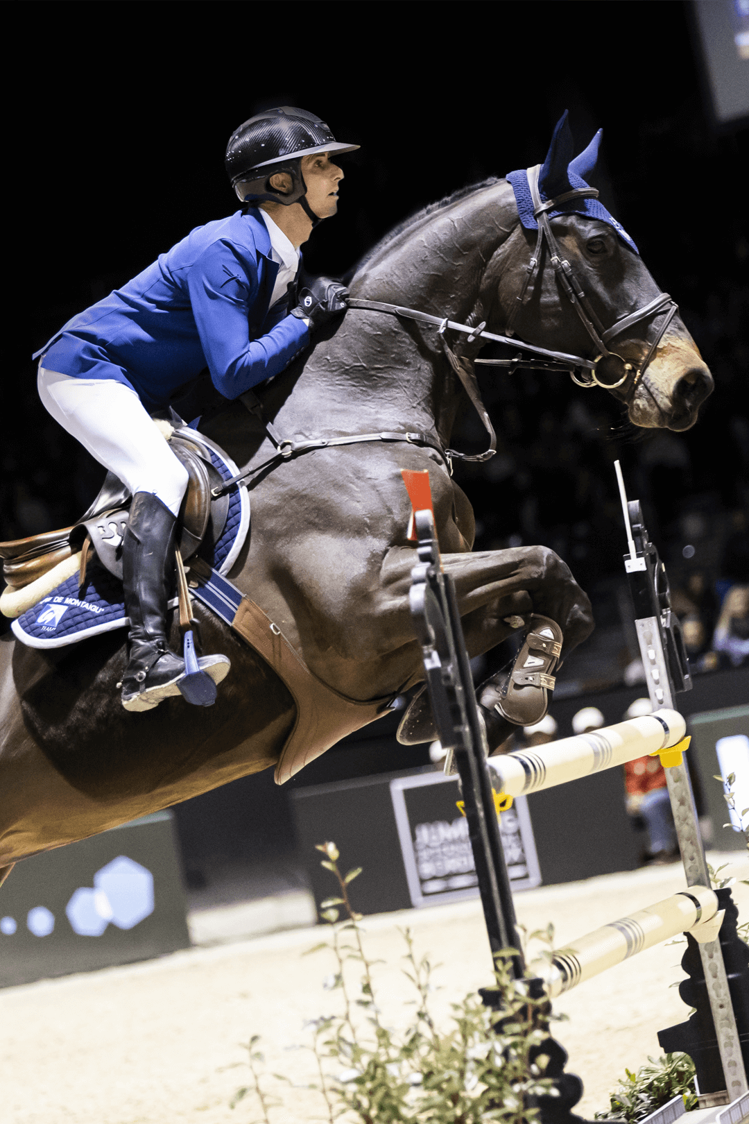 Ambassadeurs