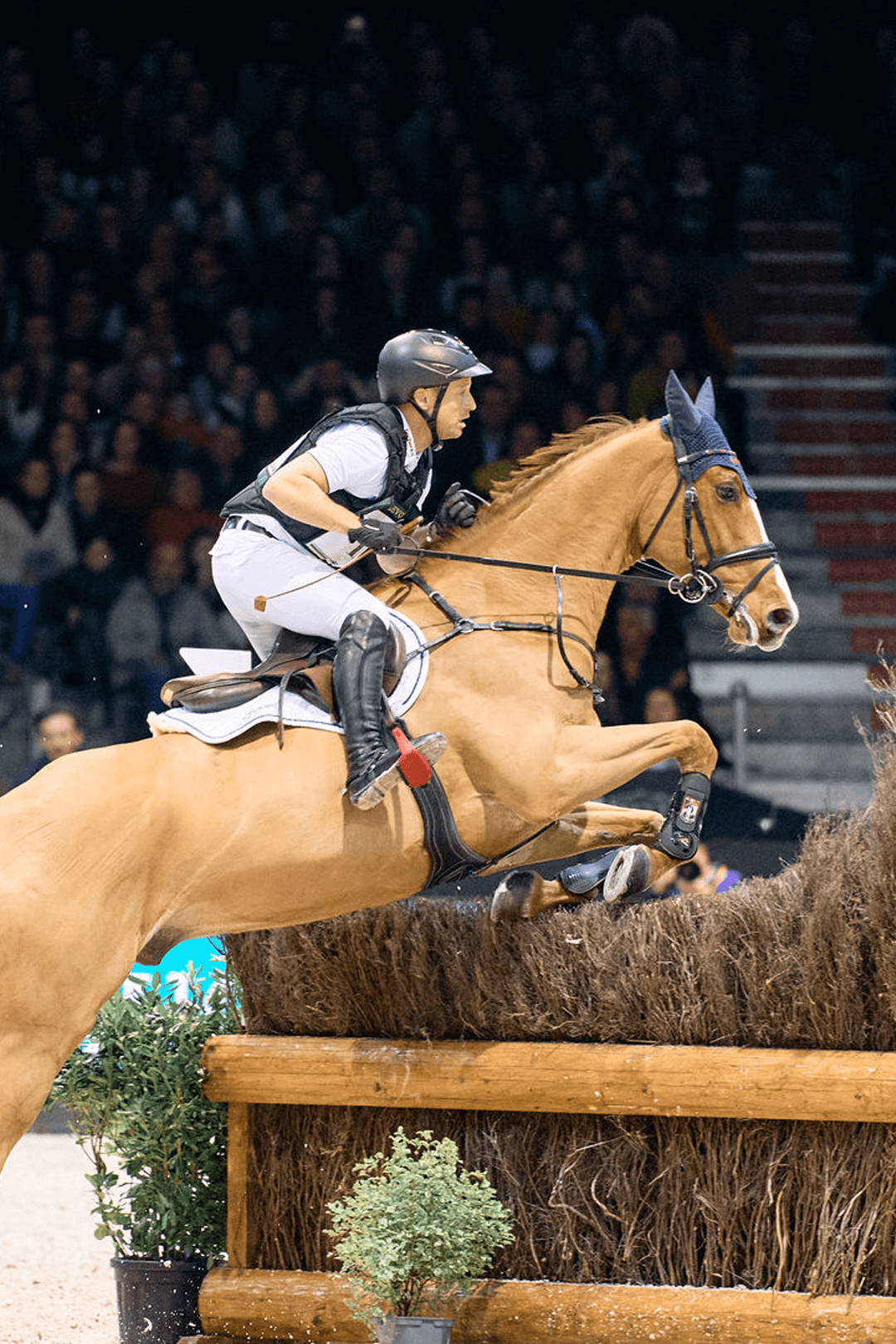 Ambassadeurs